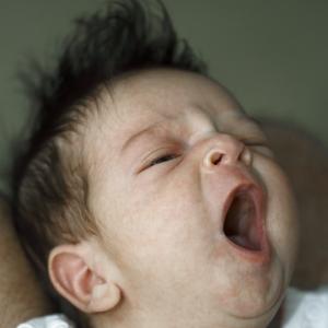 A Baby's Life A Baby's Life